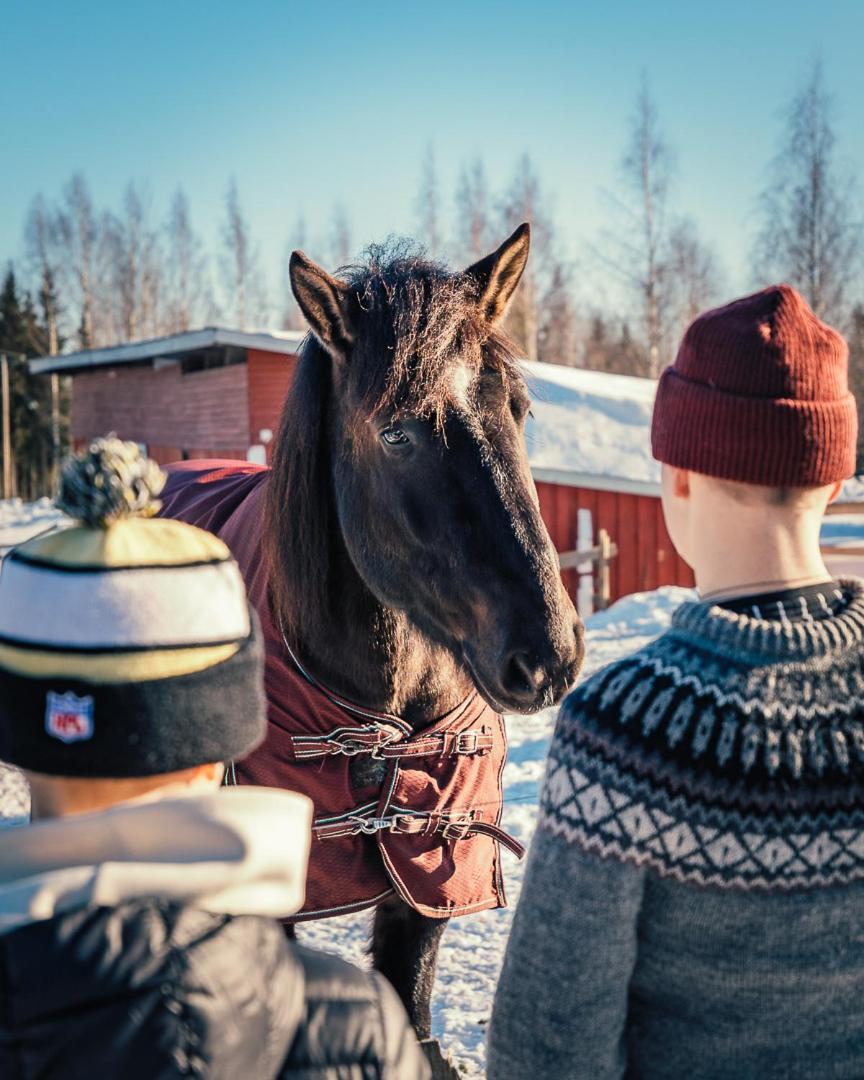 Vila Valkeisen Loma Ähtäri Exteriér fotografie