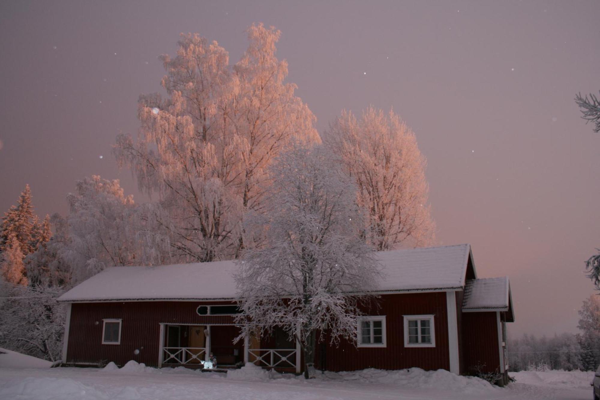 Vila Valkeisen Loma Ähtäri Exteriér fotografie