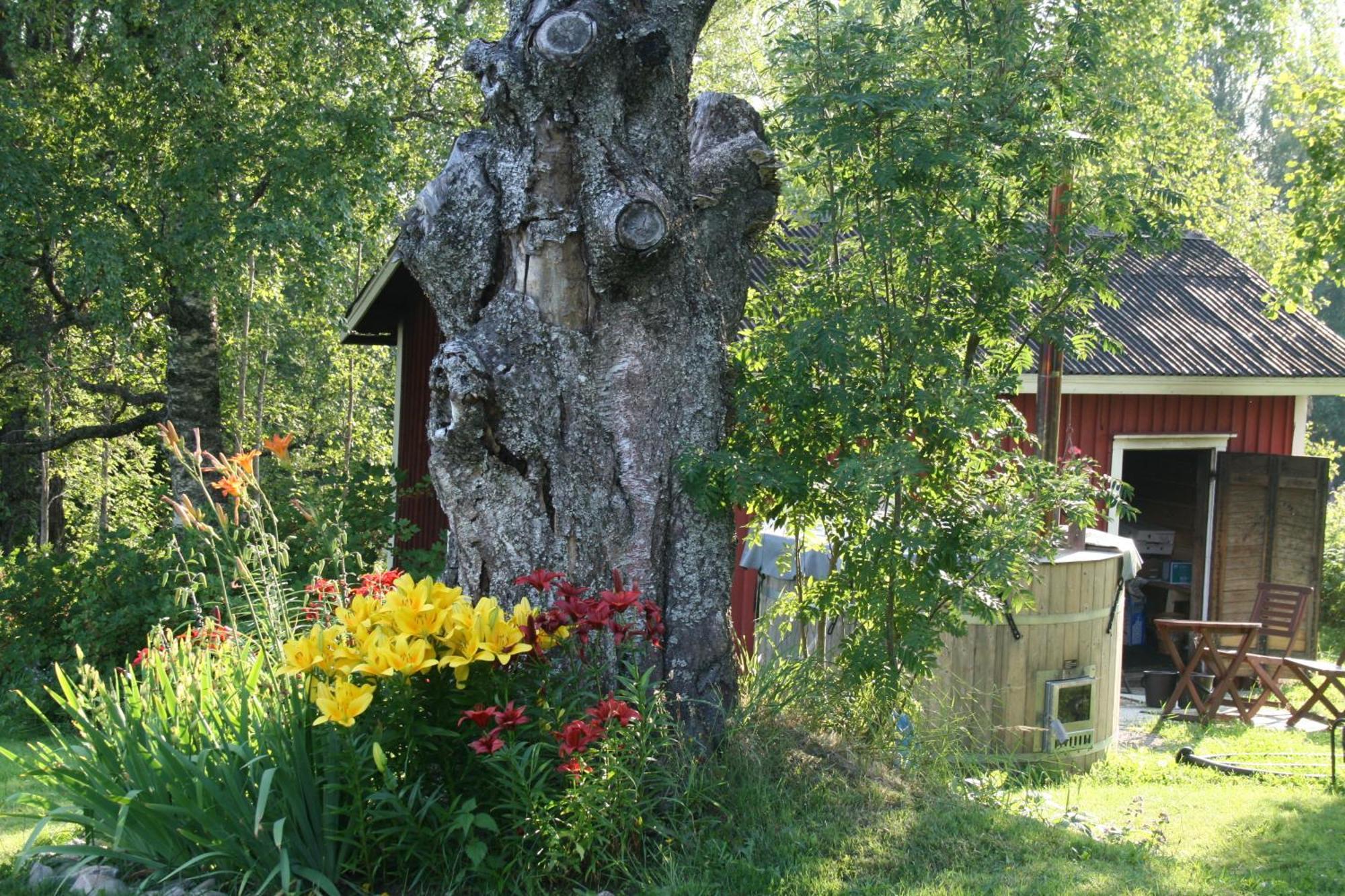Vila Valkeisen Loma Ähtäri Exteriér fotografie