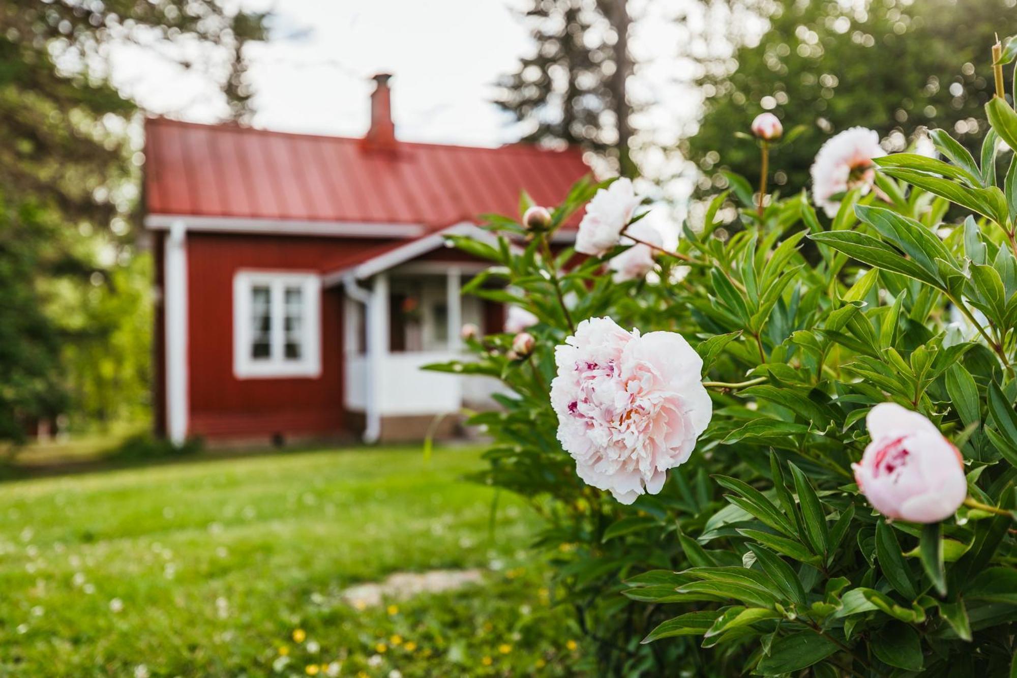 Vila Valkeisen Loma Ähtäri Exteriér fotografie